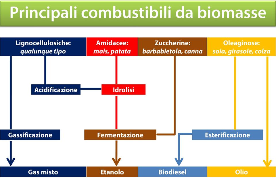 Oleaginose: soia, girasole, colza Acidificazione Idrolisi