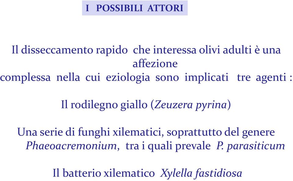 giallo (Zeuzera pyrina) Una serie di funghi xilematici, soprattutto del genere