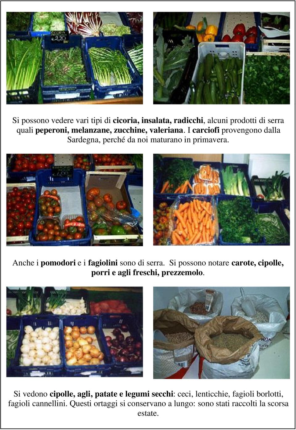 Anche i pomodori e i fagiolini sono di serra. Si possono notare carote, cipolle, porri e agli freschi, prezzemolo.