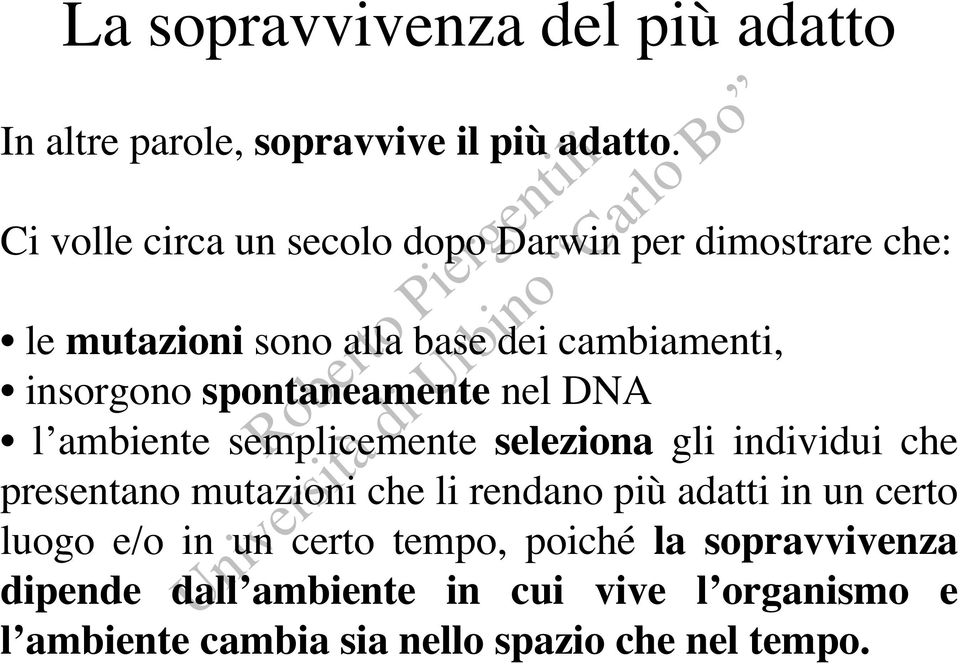 spontaneamente nel DNA l ambiente semplicemente seleziona gli individui che presentano mutazioni che li rendano più