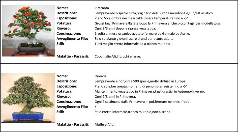 Tutti,meglio eretto informale ed a tronco multiplo. Cocciniglie,Afidi,bruchi e larve. Quercia Sempreverde e non,circa 500 specie,molto diffuso in Europa.