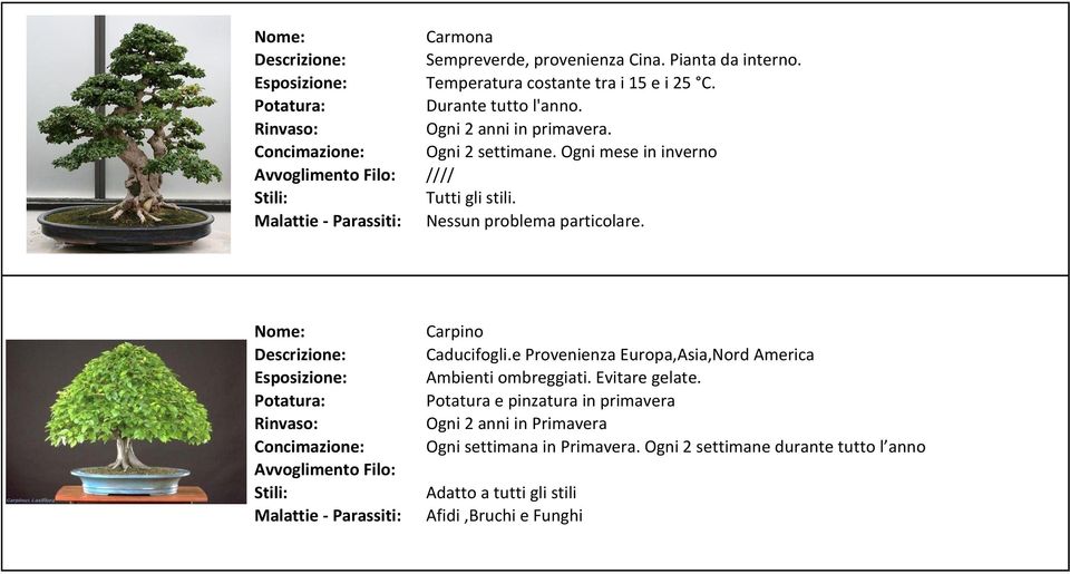 Carpino Caducifogli.e Provenienza Europa,Asia,Nord America Ambienti ombreggiati. Evitare gelate.