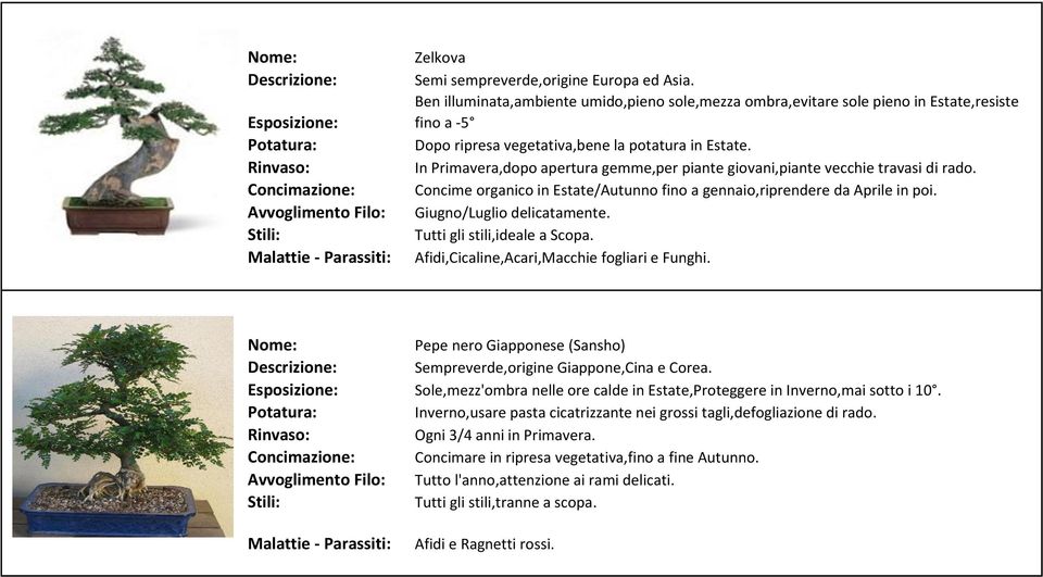 Tutti gli stili,ideale a Scopa. Afidi,Cicaline,Acari,Macchie fogliari e Funghi. Pepe nero Giapponese (Sansho) Sempreverde,origine Giappone,Cina e Corea.