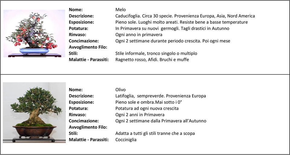 Tagli drastici in Autunno Ogni anno in primavera Ogni 2 settimane durante periodo crescita.