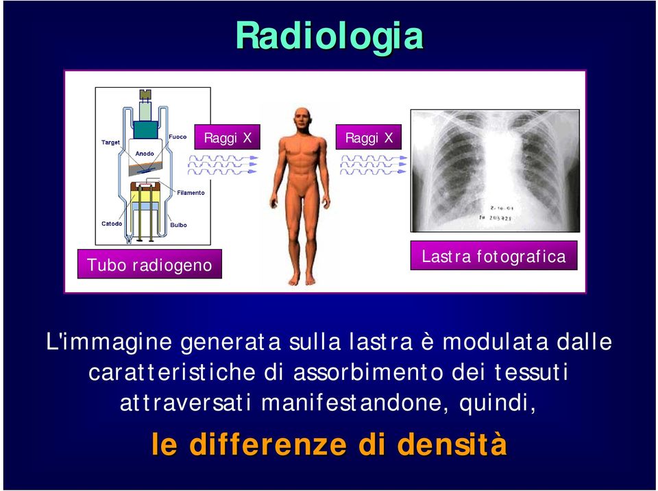 modulata dalle caratteristiche di assorbimento dei