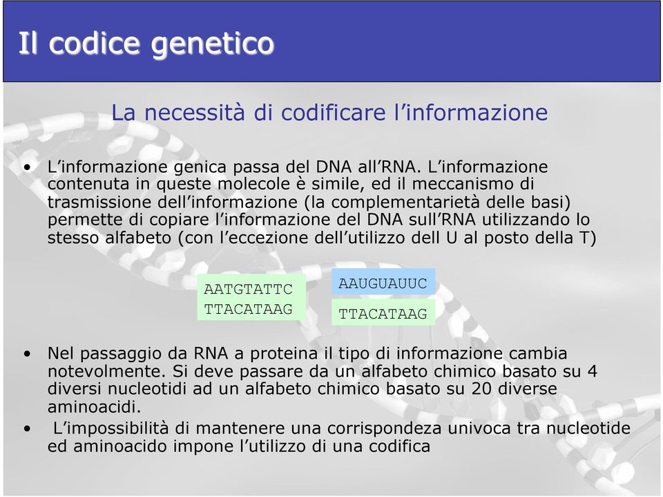 sull RNA utilizzando lo stesso alfabeto (con l eccezione dell utilizzo dell U al posto della T) AATGTATTC TTACATAAG AAUGUAUUC TTACATAAG Nel passaggio da RNA a proteina il tipo di