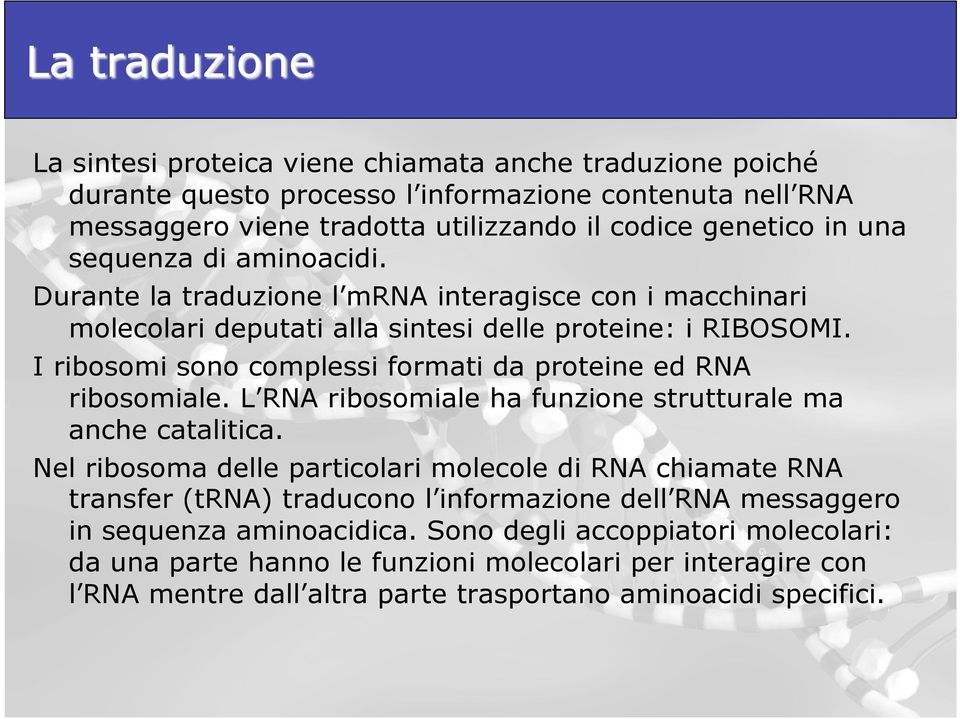 I ribosomi sono complessi formati da proteine ed RNA ribosomiale. L RNA ribosomiale ha funzione strutturale ma anche catalitica.