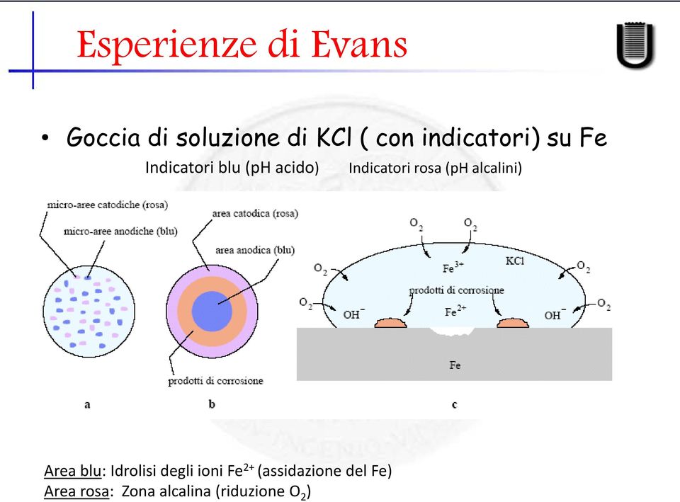 rosa (ph alcalini) Area blu: Idrolisi degli ioni Fe 2+