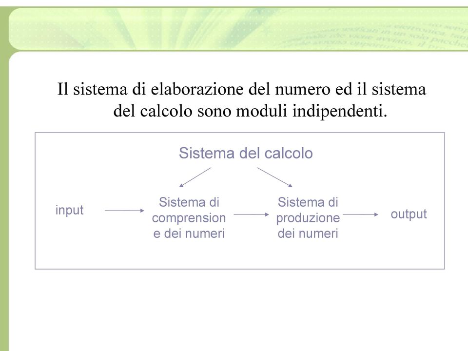 Sistema del calcolo input Sistema di