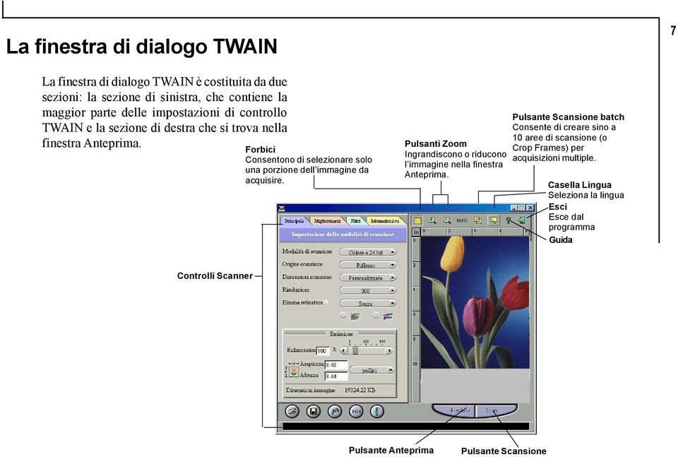 Forbici Consentono di selezionare solo una porzione dell immagine da acquisire. Pulsanti Zoom Ingrandiscono o riducono l immagine nella finestra Anteprima.