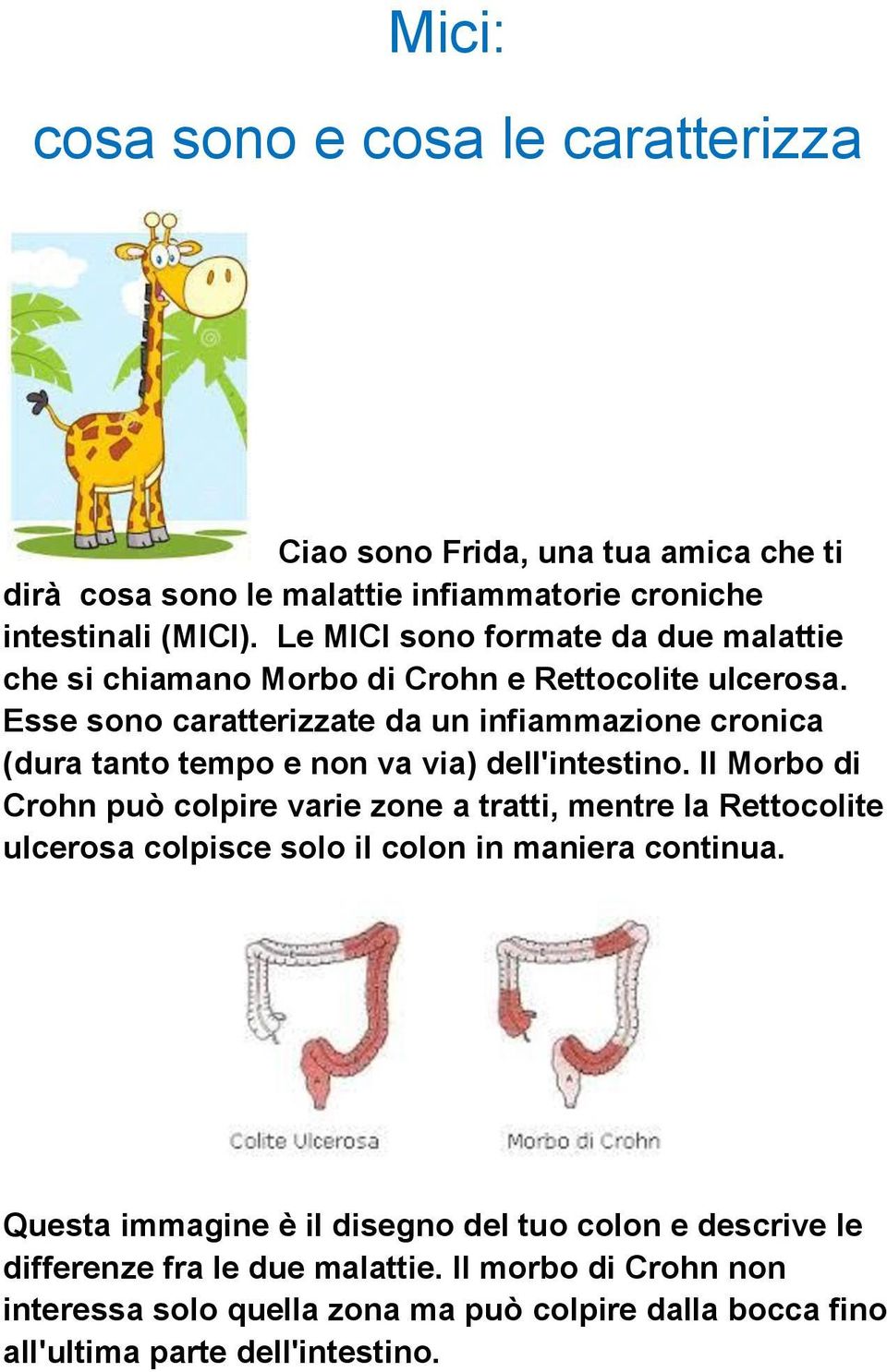 Esse sono caratterizzate da un infiammazione cronica (dura tanto tempo e non va via) dell'intestino.