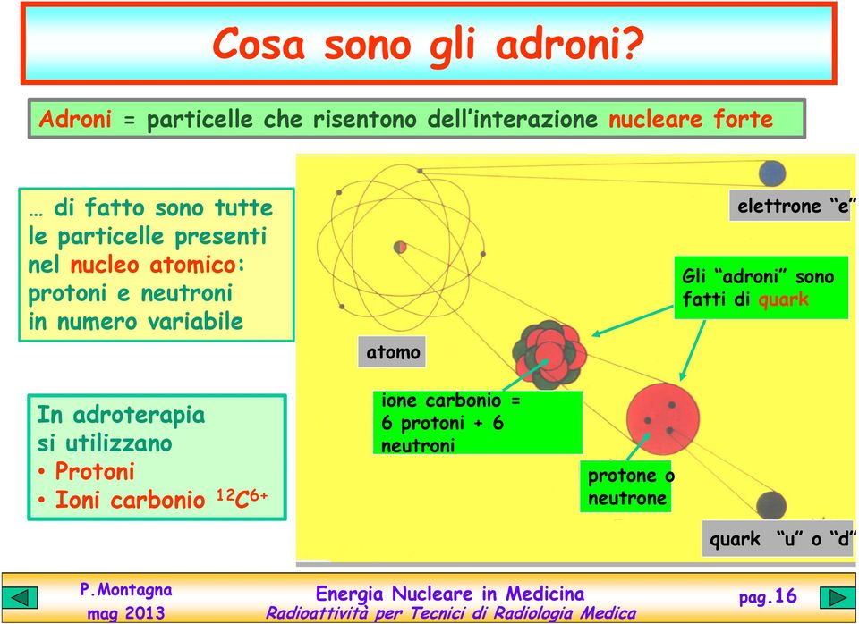 nel nucleo atomico: protoni e neutroni in numero variabile atomo elettrone e elettrone e Gli Gli adroni