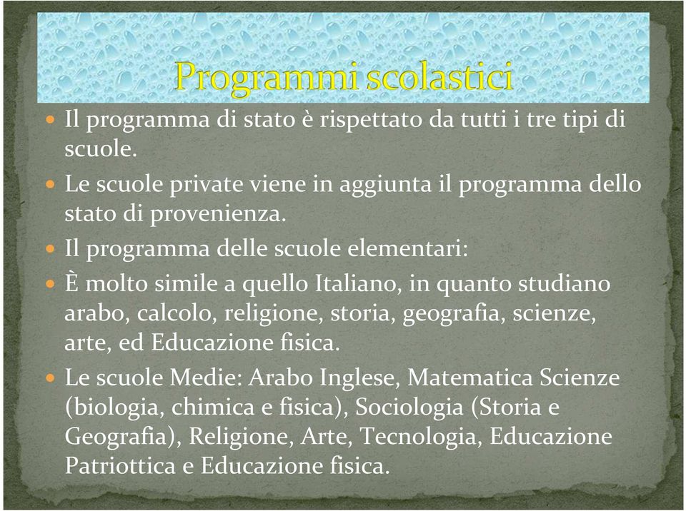 Il programma delle scuole elementari: È molto simile a quello Italiano, in quanto studiano arabo, calcolo, religione, storia,