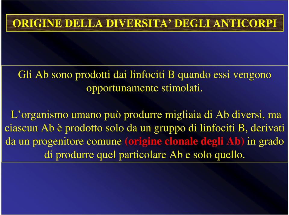 L organismo umano può produrre migliaia di Ab diversi, ma ciascun Ab è prodotto solo da