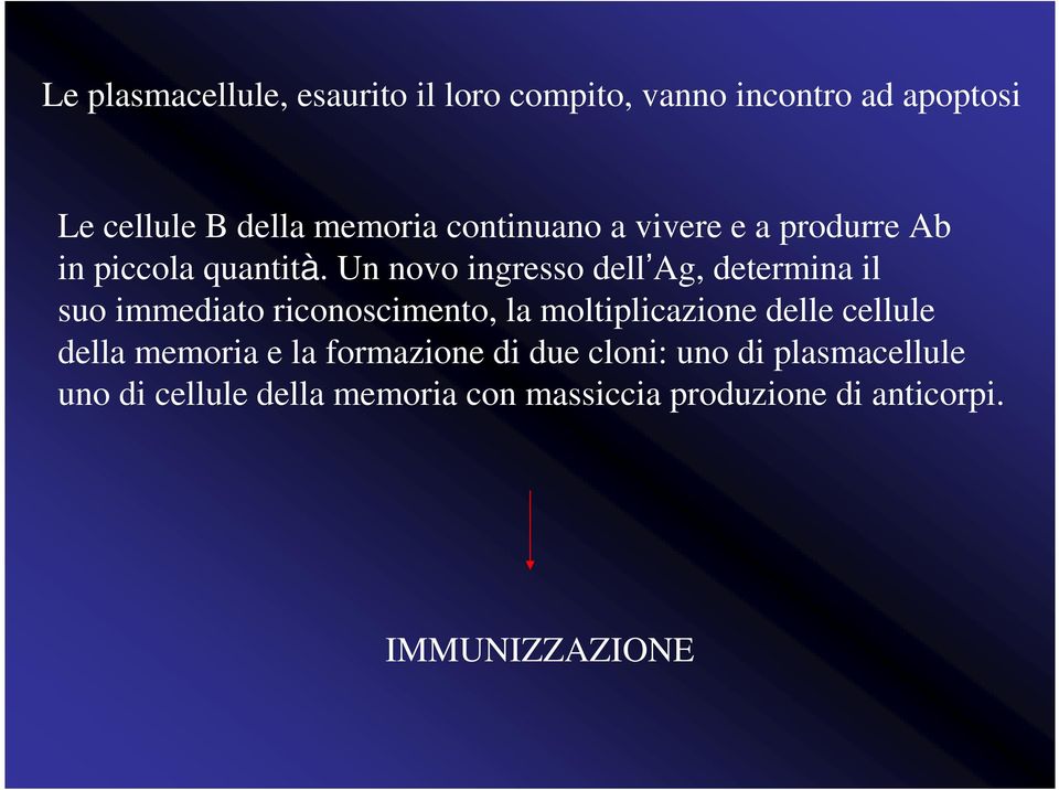 Un novo ingresso dell Ag, determina il suo immediato riconoscimento, la moltiplicazione delle