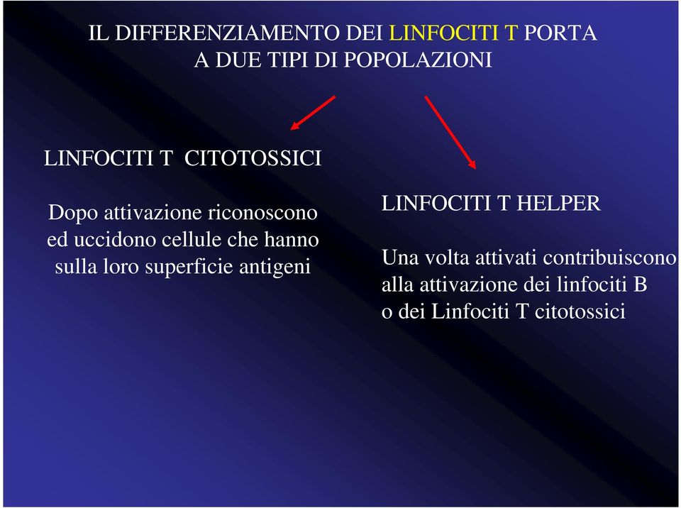 che hanno sulla loro superficie antigeni LINFOCITI T HELPER Una volta