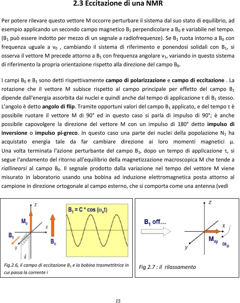 Se B 1 ruota intorno a B 0 con frequenza uguale a ν 0, cambiando il sistema di riferimento e ponendosi solidali con B 1, si osserva il vettore M precede attorno a B 1 con frequenza angolare ν 1,