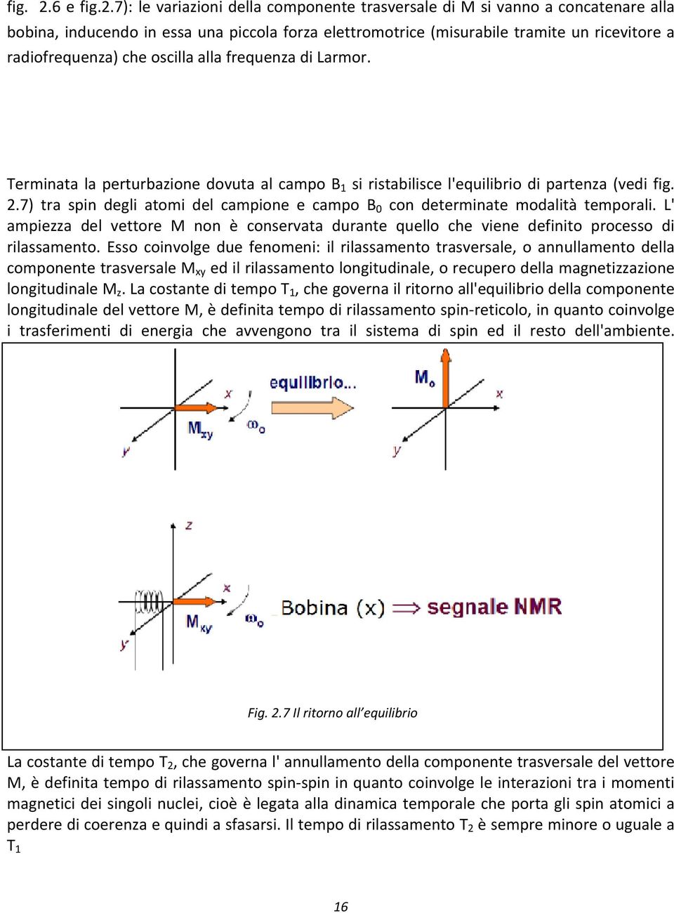 7): le variazioni della componente trasversale di M si vanno a concatenare alla bobina, inducendo in essa una piccola forza elettromotrice (misurabile tramite un ricevitore a radiofrequenza) che