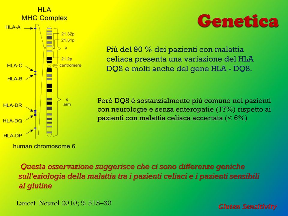 pazienti con malattia celiaca accertata (< 6%) Questa osservazione suggerisce che ci sono differenze geniche