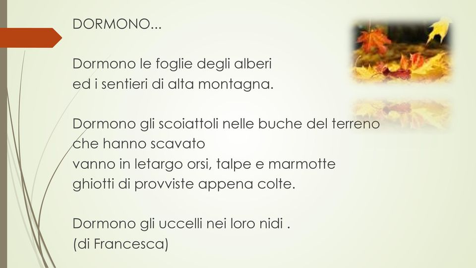 Dormono gli scoiattoli nelle buche del terreno che hanno scavato