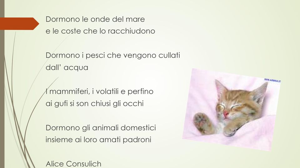 mammiferi, i volatili e perfino ai gufi si son chiusi gli