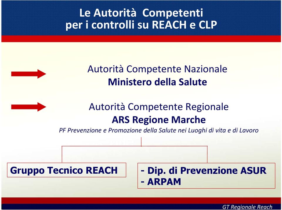 Regionale ARS Regione Marche PF Prevenzione e Promozione della Salute