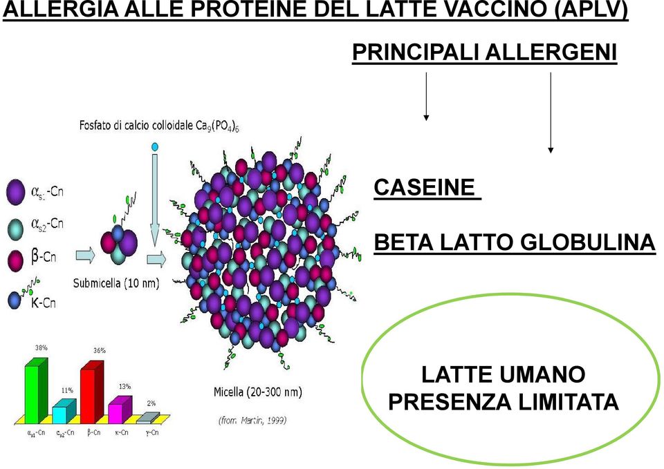 ALLERGENI CASEINE BETA LATTO