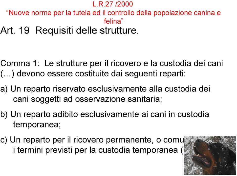 riservato esclusivamente alla custodia dei cani soggetti ad osservazione sanitaria; b) Un reparto adibito esclusivamente ai