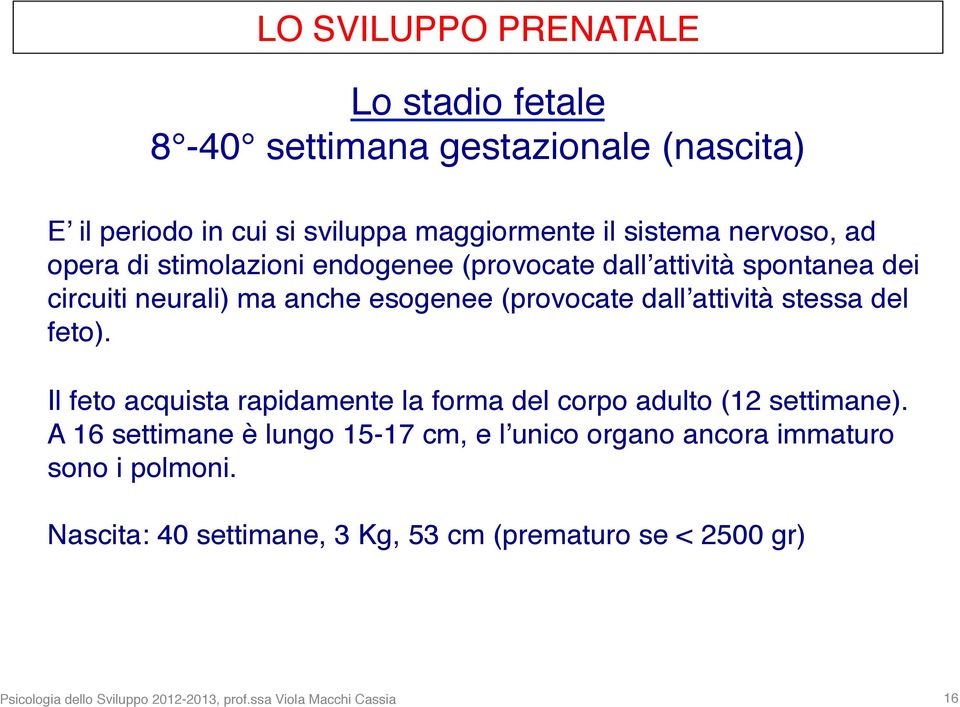 del feto). Il feto acquista rapidamente la forma del corpo adulto (12 settimane).