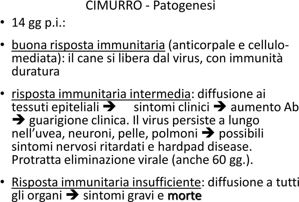 duratura risposta immunitaria intermedia: diffusione ai tessuti epiteliali sintomi clinici aumento Ab guarigione clinica.