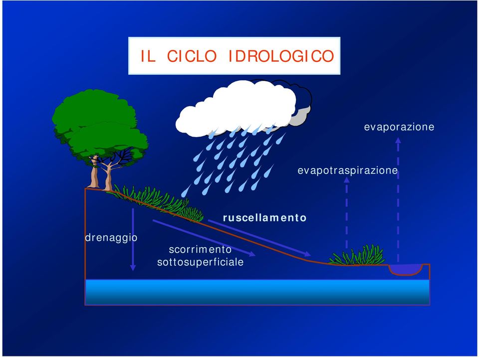 evapotraspirazione