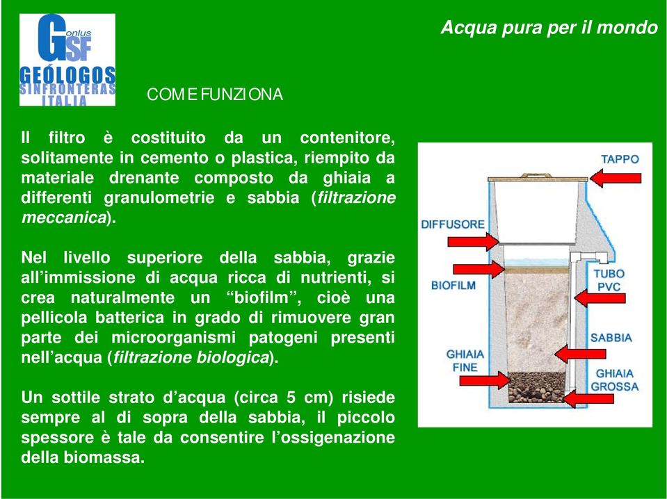 Nel livello superiore della sabbia, grazie all immissione di acqua ricca di nutrienti, si crea naturalmente un biofilm, cioè una pellicola batterica in