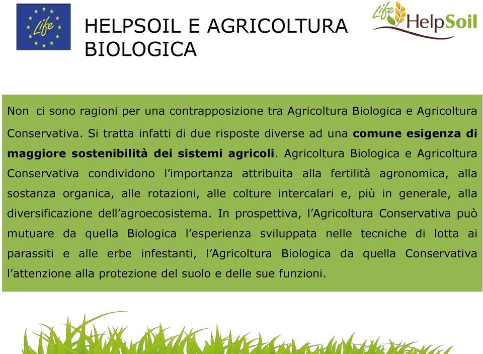 Agricoltura Biologica e Agricoltura Conservativa condividono l importanza attribuita alla fertilità agronomica, alla sostanza organica, alle rotazioni, alle colture intercalari e, più in