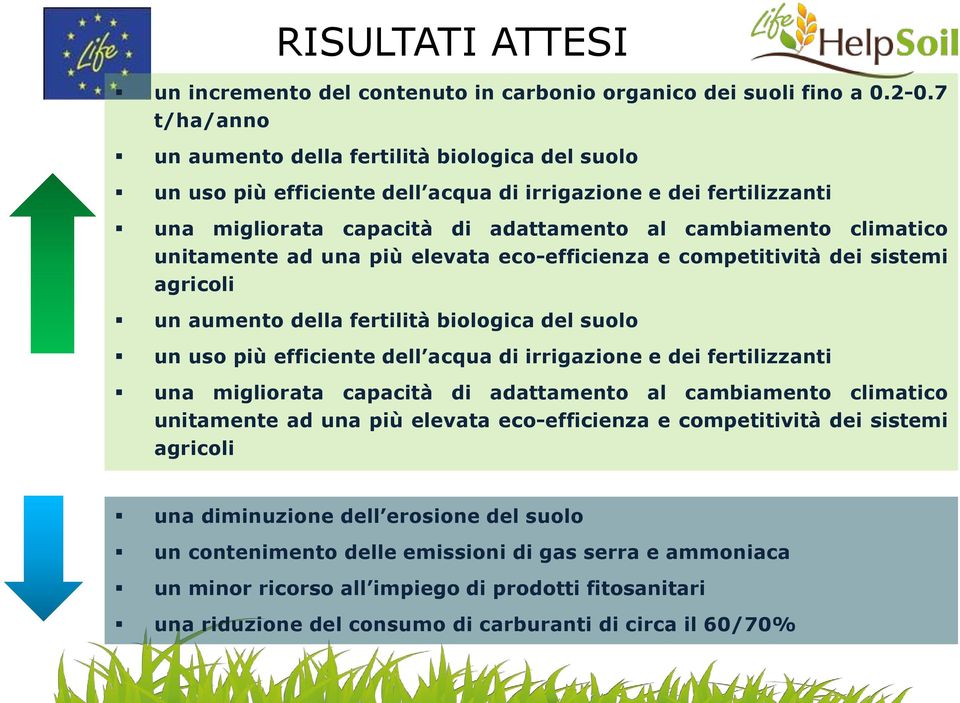 unitamente ad una più elevata eco-efficienza e competitività dei sistemi agricoli un aumento della fertilità biologica del suolo un uso più efficiente dell acqua di irrigazione e dei fertilizzanti