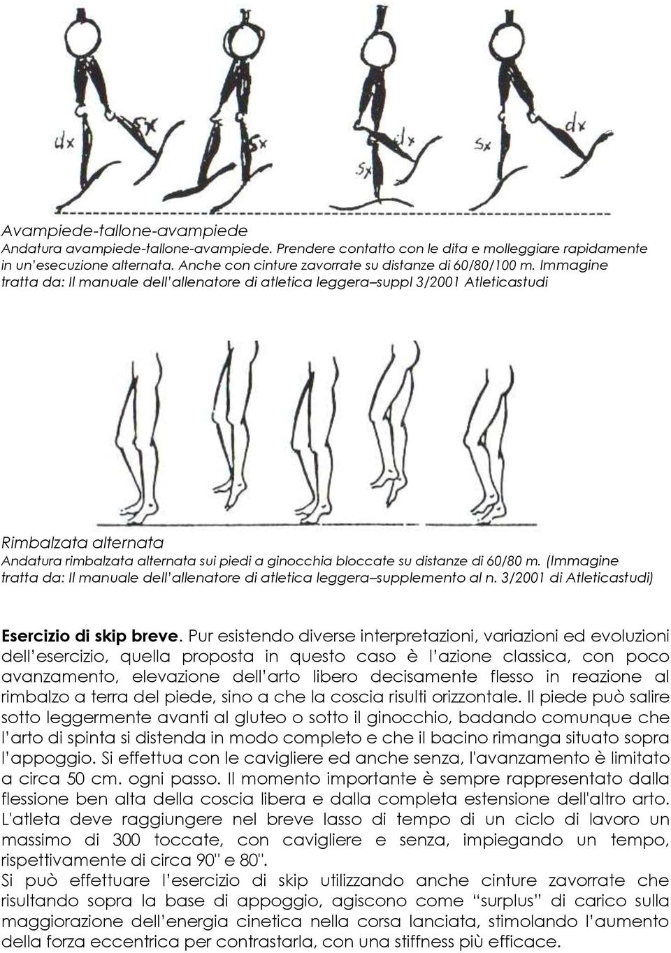 Immagine tratta da: Il manuale dell allenatore di atletica leggera suppl 3/2001 Atleticastudi Rimbalzata alternata Andatura rimbalzata alternata sui piedi a ginocchia bloccate su distanze di 60/80 m.