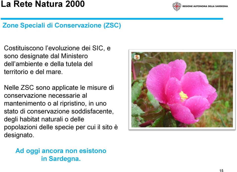 Nelle ZSC sono applicate le misure di conservazione necessarie al mantenimento o al ripristino, in uno stato di