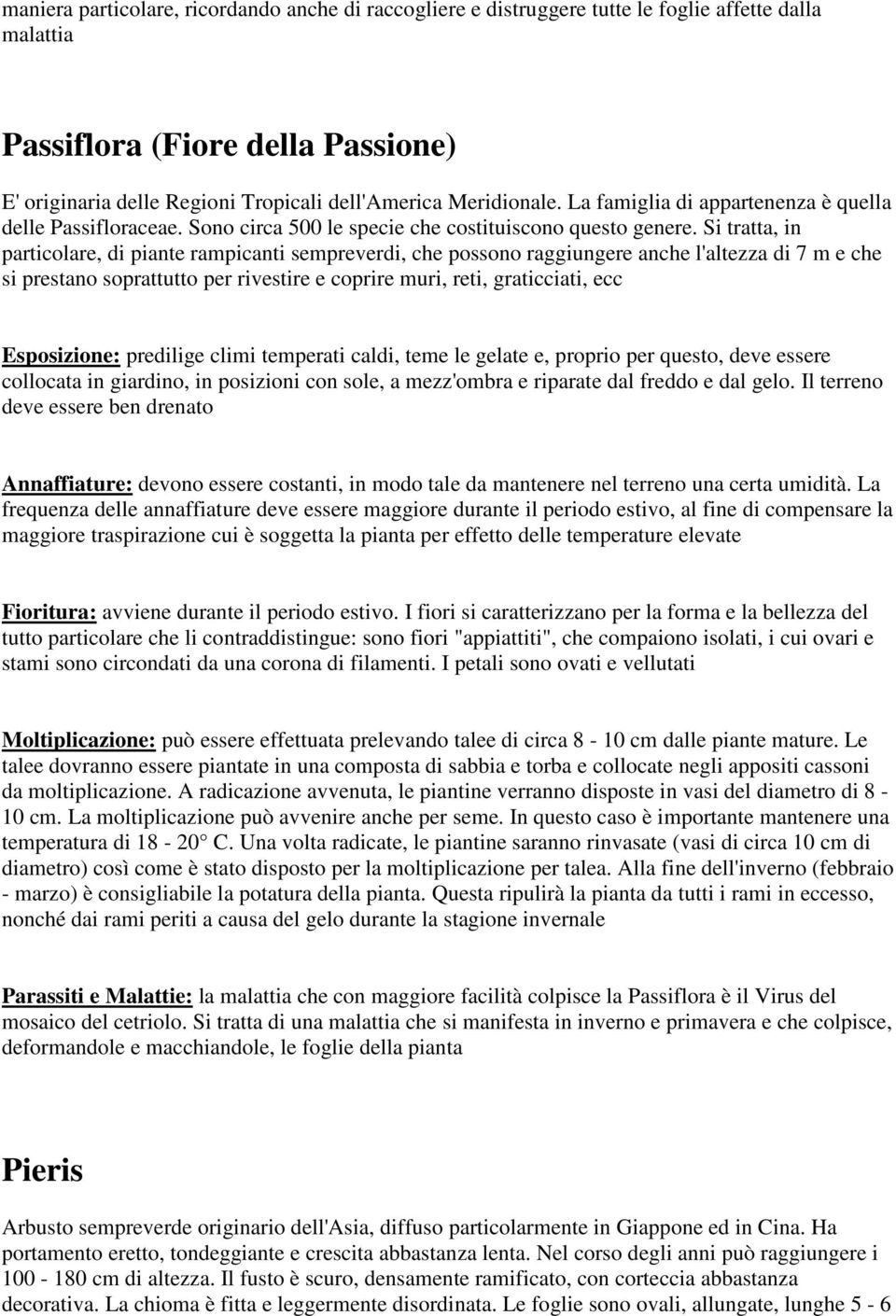 Si tratta, in particolare, di piante rampicanti sempreverdi, che possono raggiungere anche l'altezza di 7 m e che si prestano soprattutto per rivestire e coprire muri, reti, graticciati, ecc