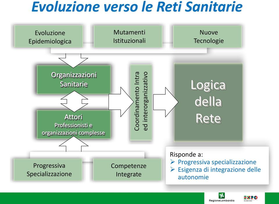 Professionisti e organizzazioni complesse Logica della Rete Progressiva Specializzazione