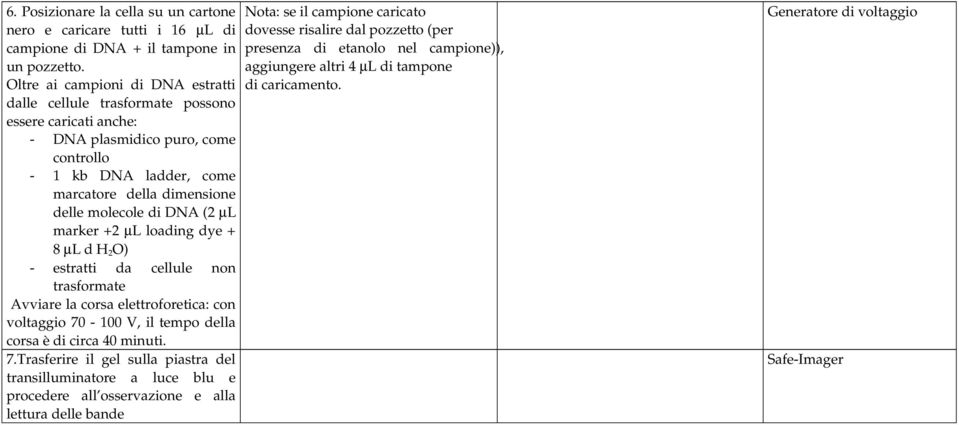 (2 µl marker +2 µl loading dye + 8 µl d H 2 O) estratti da cellule non trasformate Avviare la corsa elettroforetica: con voltaggio 70