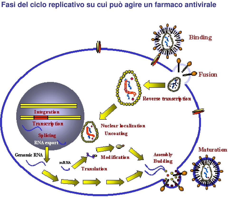 cui può agire un