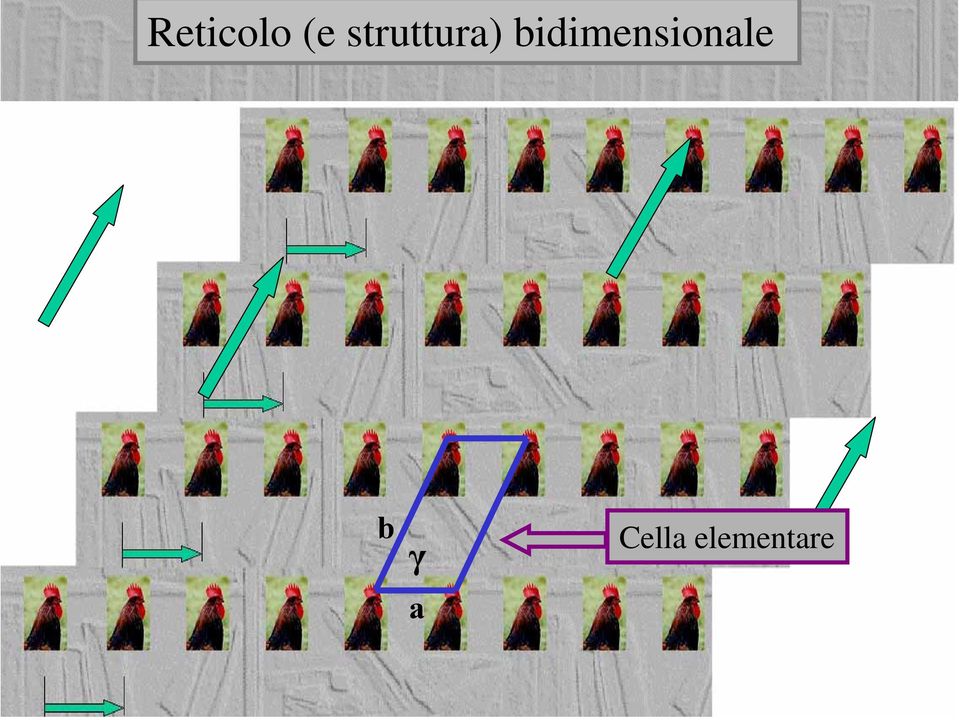 bidimensionale