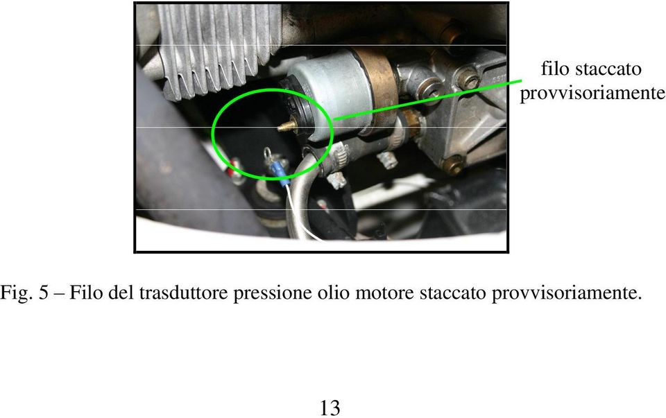 5 Filo del trasduttore