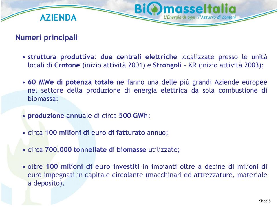 combustione di biomassa; produzione annuale di circa 500 GWh; circa 100 milioni di euro di fatturato annuo; circa 700.