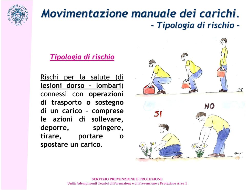 lesioni dorso - lombari) connessi con operazioni di trasporto o