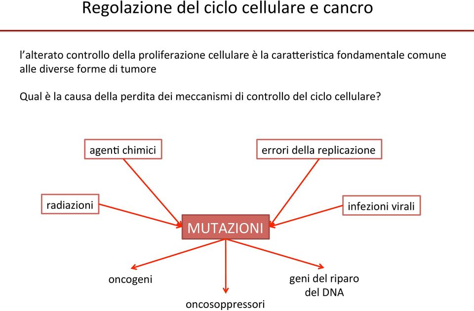 dei meccanismi di controllo del ciclo cellulare?