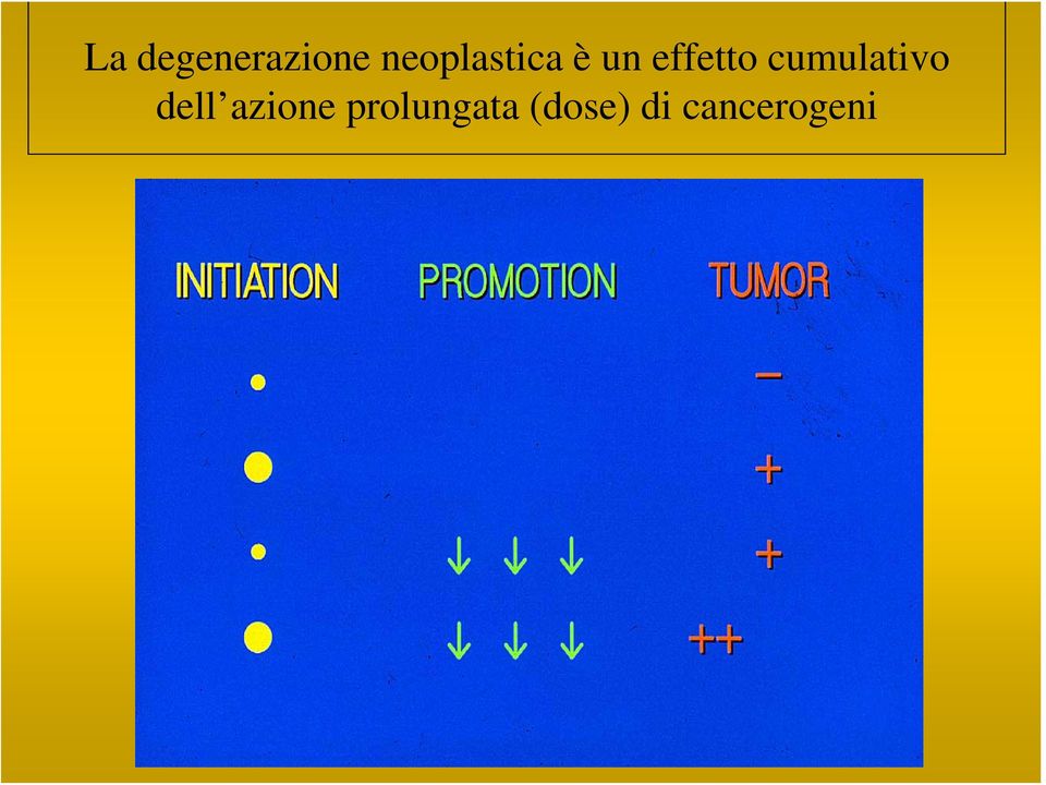 cumulativo dell azione