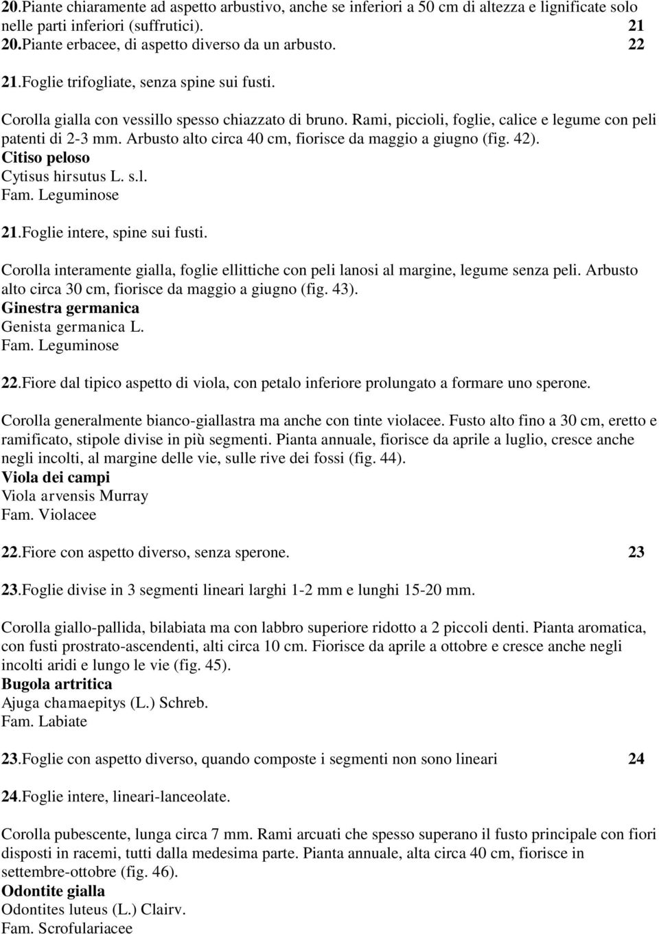 Arbusto alto circa 40 cm, fiorisce da maggio a giugno (fig. 42). Citiso peloso Cytisus hirsutus L. s.l. Fam. Leguminose 21.Foglie intere, spine sui fusti.