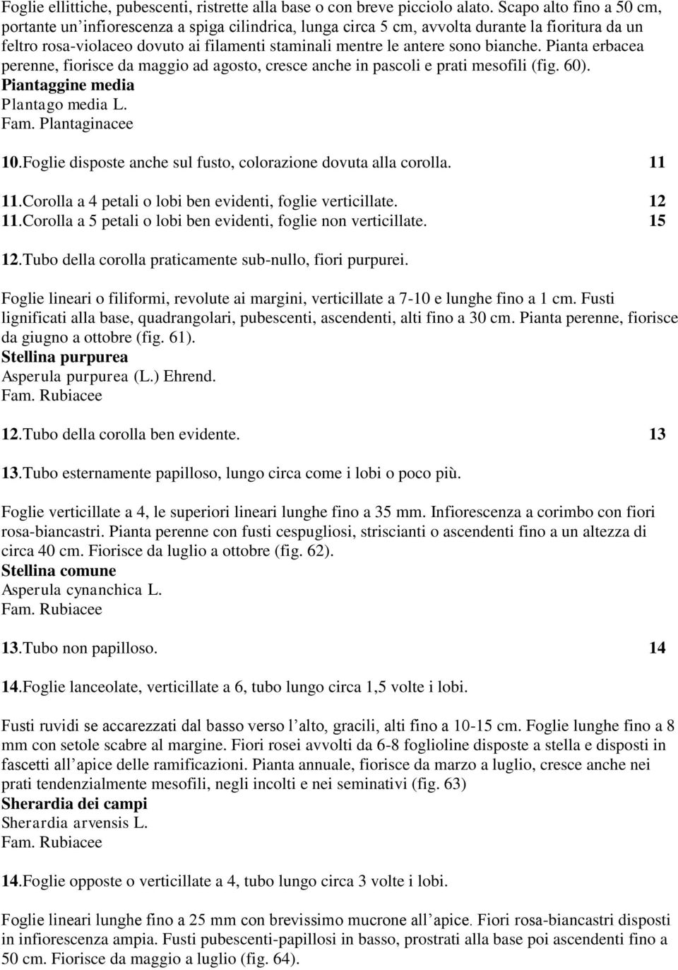 bianche. Pianta erbacea perenne, fiorisce da maggio ad agosto, cresce anche in pascoli e prati mesofili (fig. 60). Piantaggine media Plantago media L. Fam. Plantaginacee 10.