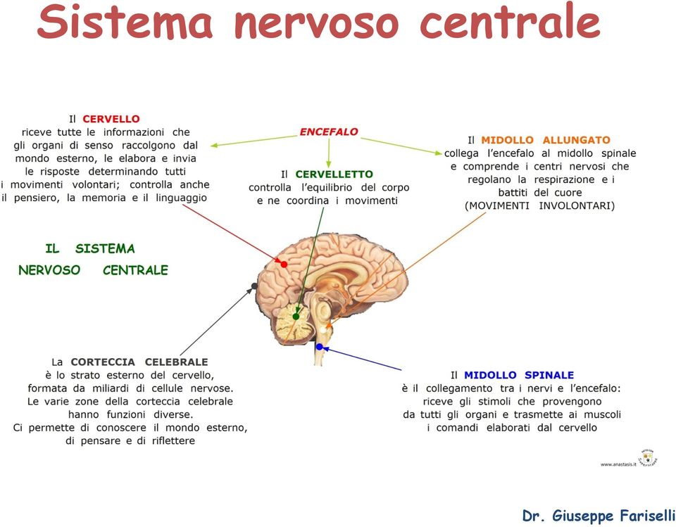 centrale