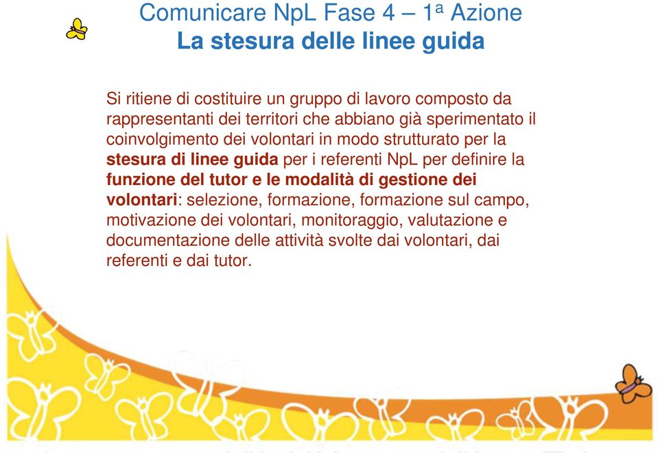 NpL per definire la funzione del tutor e le modalità di gestione dei volontari: selezione, formazione, formazione sul campo,